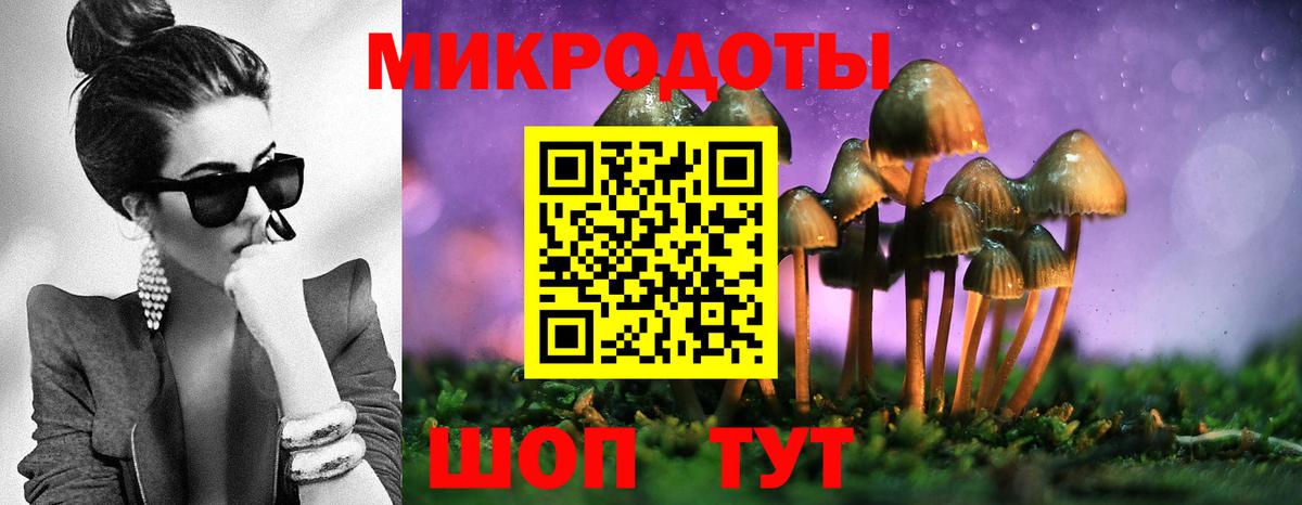 Галлюциногенные грибы прущие грибы  Вход с VPN  Великий Устюг 